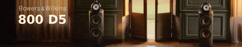 Bowers & Wilkins 800 D5