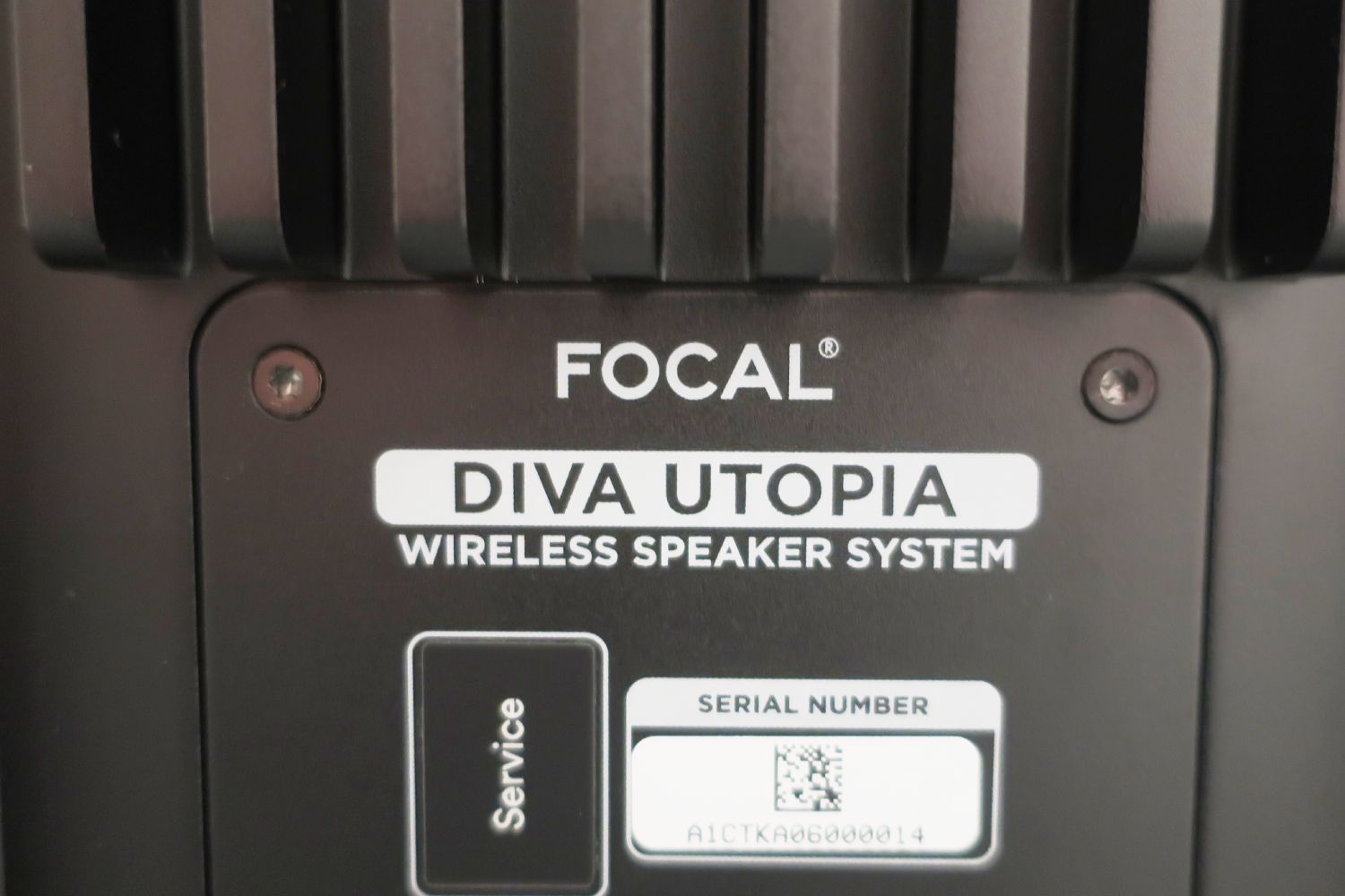 2025 01 31 TST Focal Diva Utopia 13